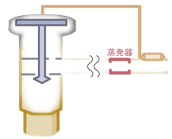 栄養士は「おいしいランチを食べると体重が減る」と言う