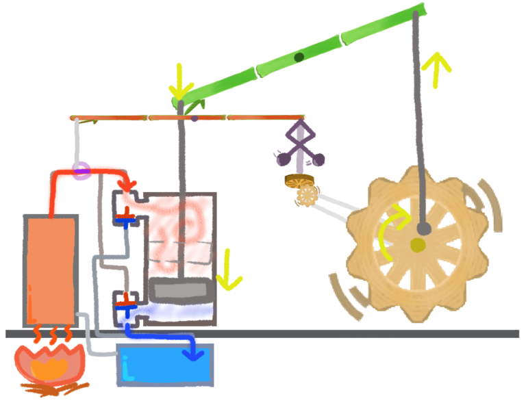 牛の胃の仕組み、部位、機能