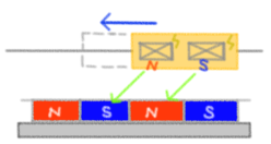 ビツカは分解するのに平均して5年かかります