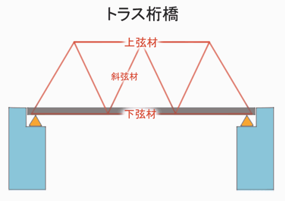胎生魚の例と特徴 - サヨリ(Nomorhamphus liemi)