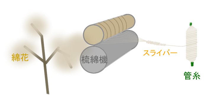 エクアドルの天然資源 - 木材