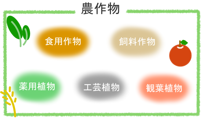 植物とは - 被子植物と裸子植物とは